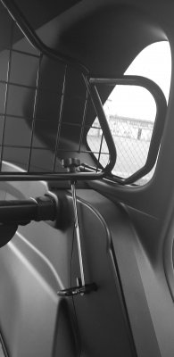 Dog guard Toyota RAV4 2019-