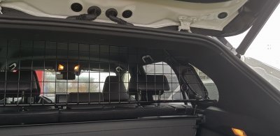 Dog guard Toyota RAV4 from 2019-