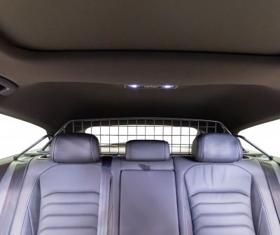 Dog guard Volkswagen Arteon from 2021-