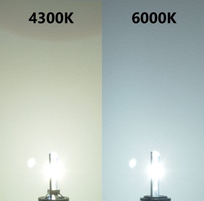 Replacement lamp for Xenon kit of 55W and socket D2Y