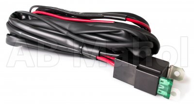 Complete auxiliary light package - 2 NBB 175 (Remote light) with halogen bulbs