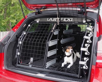 Dog tailgate for Mitsubishi Outlander from 2022-