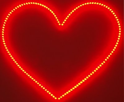 Diode strip 12V 48xDiode 48 cm