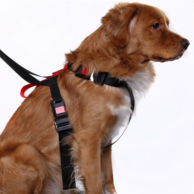 Artfex Dog Harness - Dog harness adapted for ISOFIX
