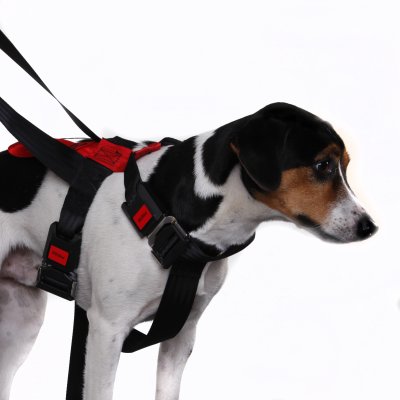 Artfex Dog Harness - Dog harness adapted for ISOFIX