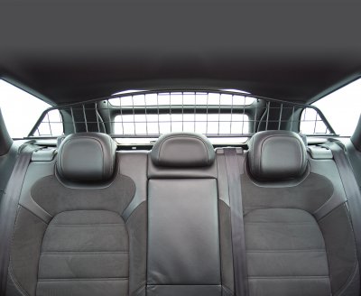Dog fence Citroën DS5 2012-