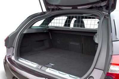 Dog grille for Citroën DS5 2012-