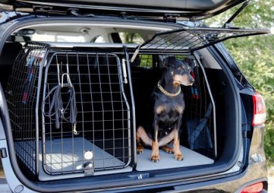 Dog cage Kia Sorento from 2015-2020