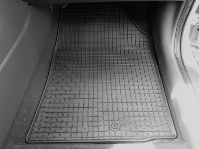 Rubber mats Hyundai IONIQ from 2016-