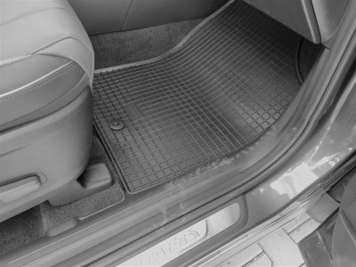 Rubber mats Hyundai Santa Fe from 2021-