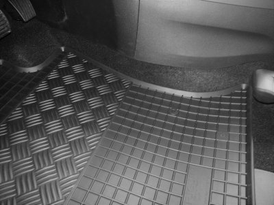 Rubber mats Fiat 500L from 2012-