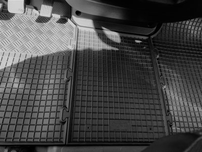 Rubber mats Fiat Ducato from 2006-2024