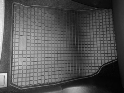 Rubber mats Ford Ecosport 2014-
