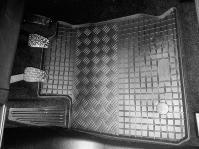 Rubber mats Ford Ecosport from 2014-