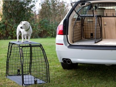 Dog cage Mercedes E-Class station wagon from 2024-