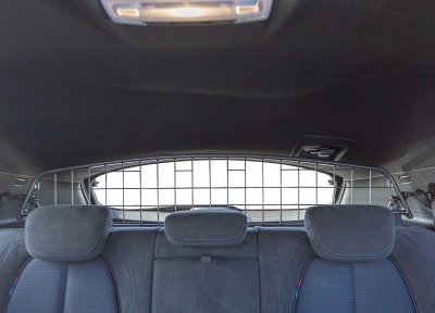 Dog guard BMW X2 (F39) from 2018-2023