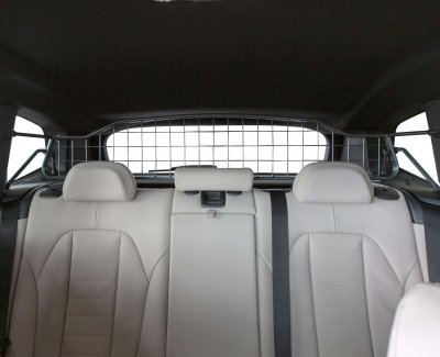 Dog guard BMW X3 (G01) from 2018-