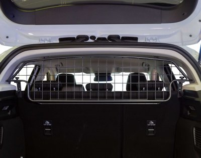 Dog guard Ford Focus hatchback 2018-