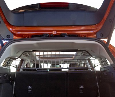 Dog guards Ford Focus station wagon from 2018- onwards