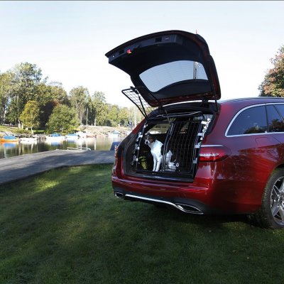 Dog gate Volvo XC90 from 2015-