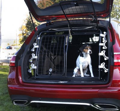 Dog gate with double doors | Used parts sorting