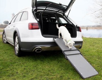 Dog ramp for car - For an easier entry for the dog