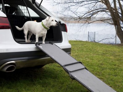 Dog ramp for car - For an easier entry for the dog
