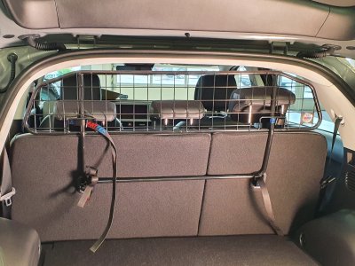 Dog guard Hyundai IONIQ 5 from 2021-