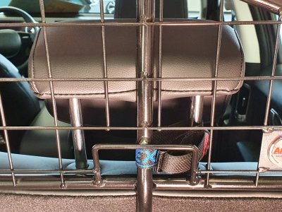 Dog guard Hyundai IONIQ 5 2021-