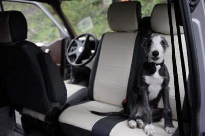 Swivel plate for Renault Trafic from 2002-2014