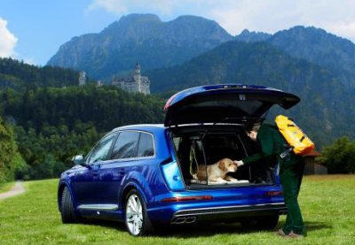Dog cage Audi Q7 from 2015-
