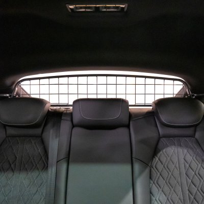 Dog guard Audi Q4 Sportback e-tron from year 2021-