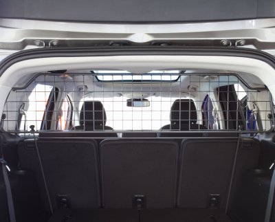 Dog guard Ford S-Max from 2015-