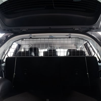 Dog guard Hyundai IONIQ 5 from 2021-