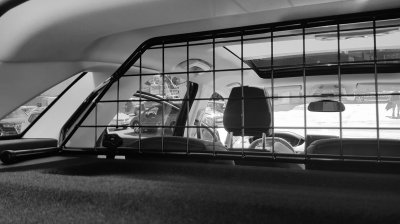 Dog guard Peugeot 3008 from 2016-2024