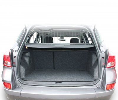 Dog grille for Renault Clio 2005-2013