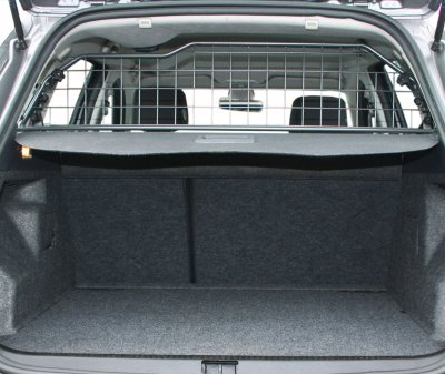 Dog grille for Renault Clio 2005-2013