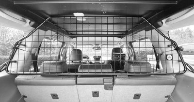 Dog guard Toyota Land Cruiser from 2009-2023