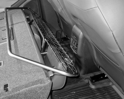 Dog guard Ford Capri EV from 2025-