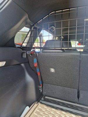 Dog guard Toyota Corolla Cross from 2023-