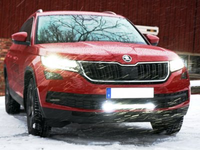 Handrail for Skoda Kodiaq from 2017-2021