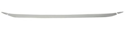 Stainless steel lower strip for the tailgate of the Jeep Renegade