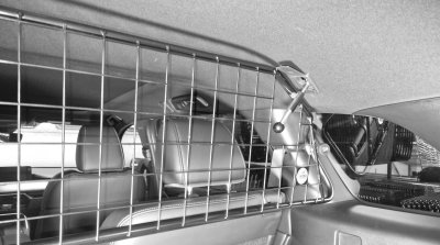 Dog guard Mazda CX-80 from 2024-