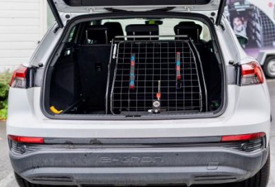 Dog cage Audi Q4 e-tron from 2021-
