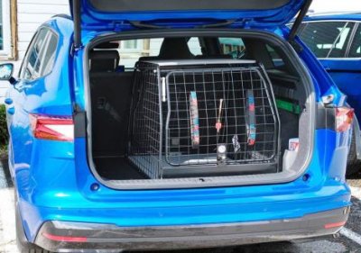 Dog cage Skoda Enyaq from 2021-