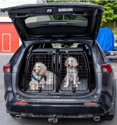 Dog cage Toyota RAV4 from 2019-2025