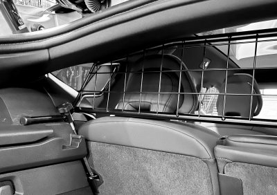 Dog guard Polestar 3 from 2023-