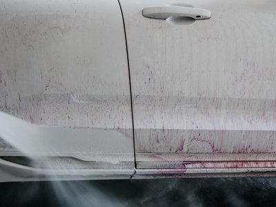 Pureest W1 Flygrost model - 25 liters