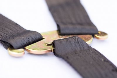 Safety harness for anchoring a dog cage