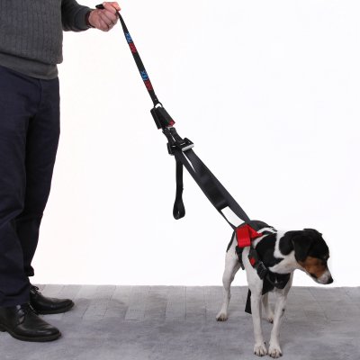 Artfex Dog Harness - Dog harness adapted for ISOFIX
